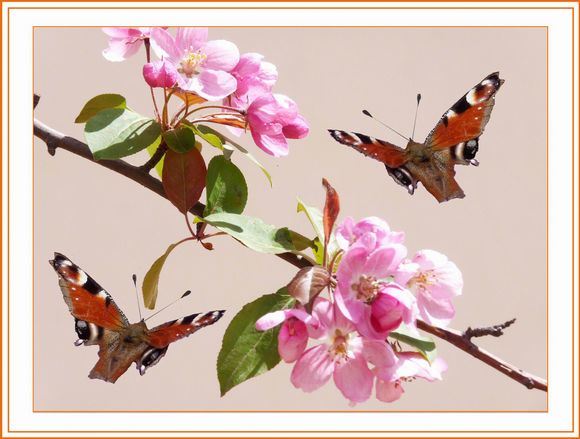   訪沈陽市（shì）養老院