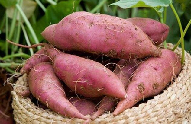 彰武（wǔ）的特色——七律