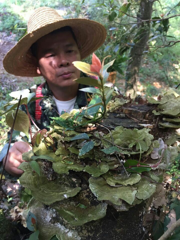 老蕭頭問醫記（jì）