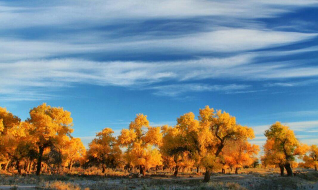 好消息,國（guó）務院發（fā）文,老年人將能享受這些福（fú）利了!