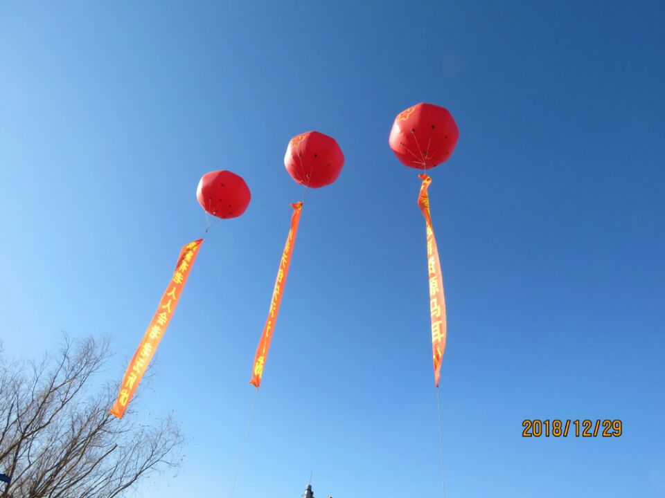 馬耳山遼寧達官城養老基（jī）地開工（gōng）剪彩慶典儀式