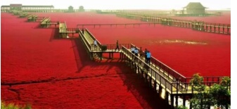 醉美山海林湖泉 養生度假親和源 遼寧親和源溫泉養（yǎng）老產業園