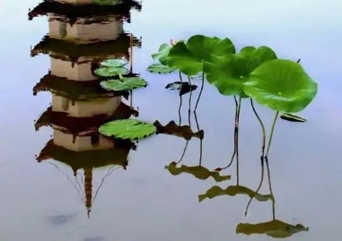 我老了！但我不覺得