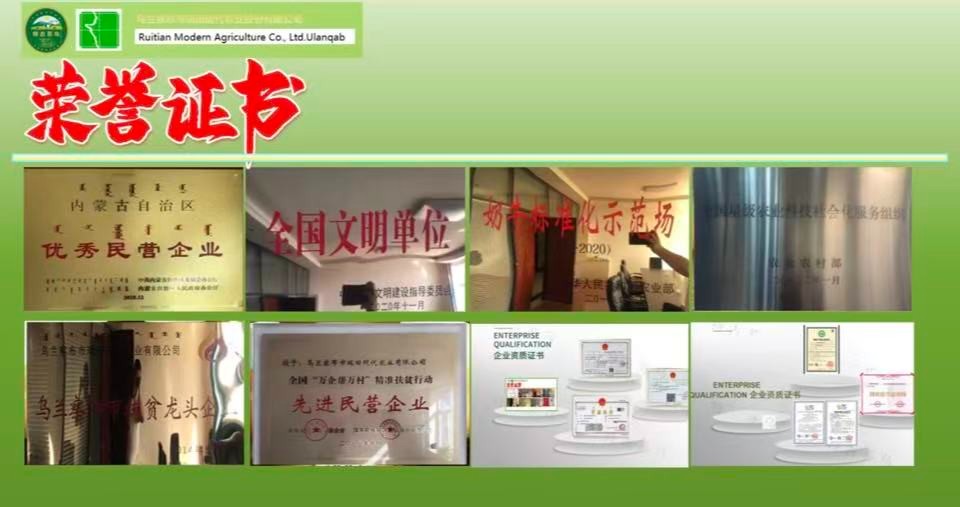 内蒙古特古苏乌乳业有限公司企业简介